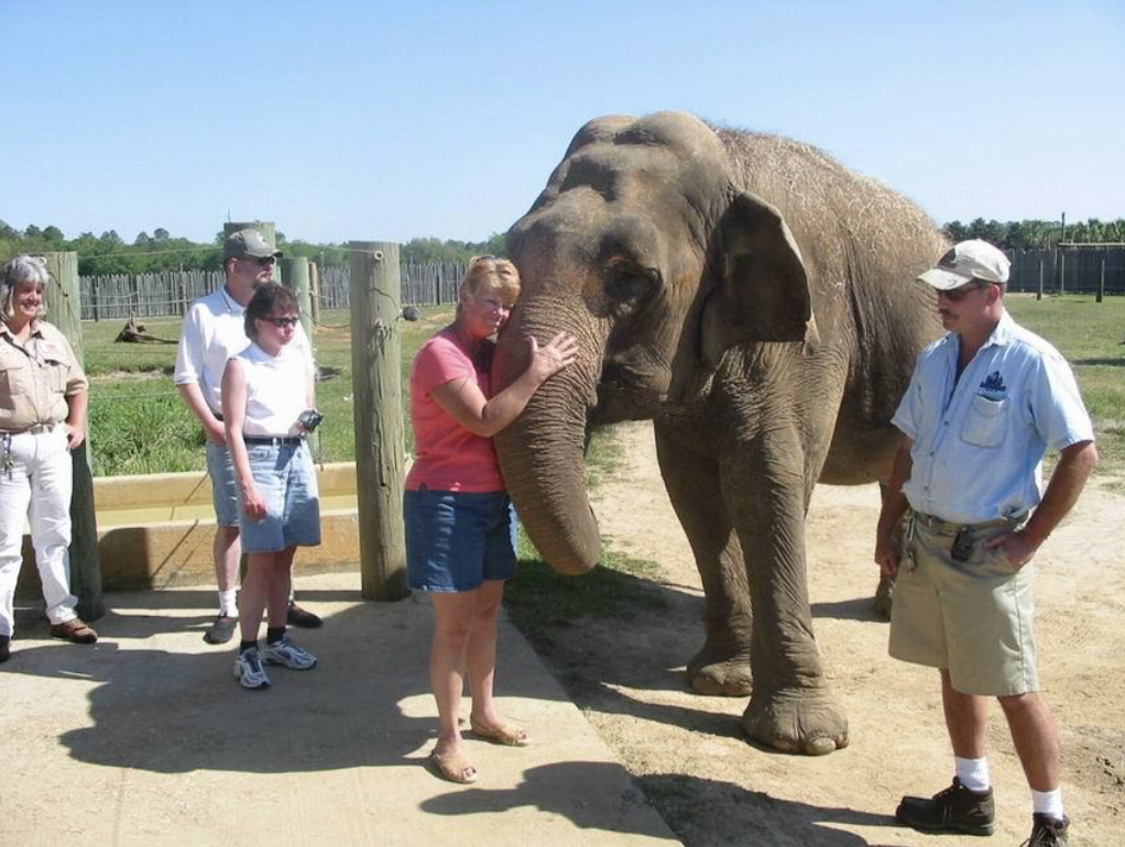 <p><p><strong>REUNITED AT LAST </strong>— After 38 years apart, Dane was finally able to see Queenie again in 2005 at Wild Adventures, the Valdosta, Georgia, theme park where Queenie took up residence after retiring from a job with a circus due to an injury. This photo is of Dane's second reunion with Queenie in 2006, this time with her son and his family. Before Queenie's death in 2011, Dane said, all of her children and grandchildren at the time were able to meet her childhood friend.</p></p><p>PHOTO COURTESY LIZ DANE</p>