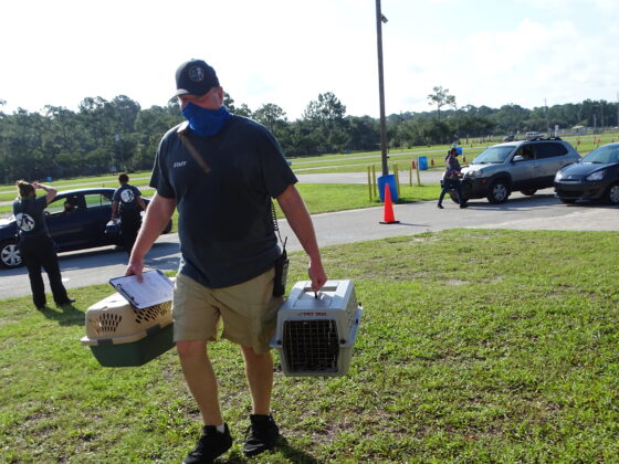 <p><p>Volusia County Animal Services Director Adam Leath was on hand.</p></p><p></p>