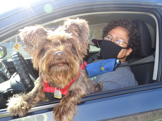 <p><p>Carmen Sanchez was one resident who took advantage of the drive-thru event, seen here with her charismatic pup. </p></p><p></p>