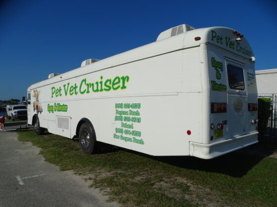 <p><p>Also on-site was the "Pet Vet Cruiser," a mobile veterinary clinic run by Volusia County Animal Control that does quick low-cost animal sterilization. </p></p><p></p>