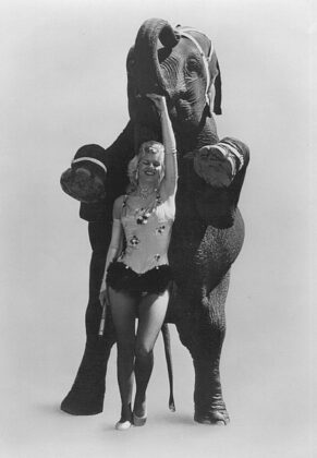 <p><p><span id="docs-internal-guid-5fcceaa0-7fff-e652-7de9-e0aeb08973c1"><strong>QUITE A PAIR</strong> <span>— Liz Dane and Queenie the elephant pose for publicity photos sometime in the early 1960s. Dane grew up with Queenie. At the time of this photo, Queenie was around 7 years old, and Dane was in her late teens.</span></span></p></p><p></p>