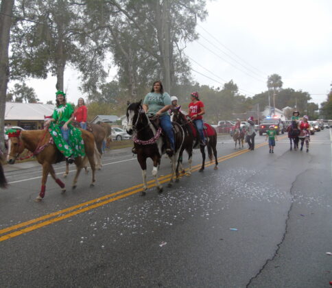 <p><p>As usual (because of the horse poop), the equines bring up the rear of the parade.</p></p><p></p>