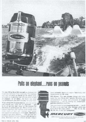 <p><p><span id="docs-internal-guid-696d4841-7fff-42a2-d285-ae16ddd0d1ac"><strong>PULLS AN ELEPHANT…</strong> <span>— This advertisement from 1965 is for the engine that powered the boat that pulled Queenie. While Queenie was the only elephant to water ski at DeLeon Springs, another notable water-skiing elephant, trained by the same water skiers, was Sunshine Sally. Sally was best-known for her ski shows in Sarasota.</span></span></p></p><p></p>