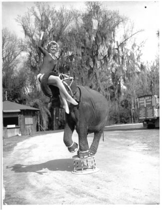 <p><p><strong>PRACTICE MAKES PERFECT </strong>— Liz Dane and Queenie practice routines together. While their main event was water skiing, Dane and her elephant companion had plenty of other tricks they could perform. </p></p><p></p>