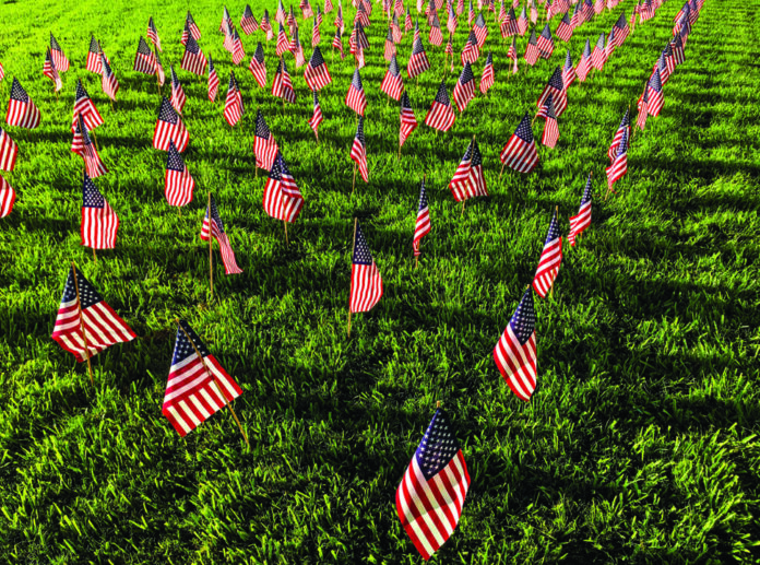 flags in cemetery
