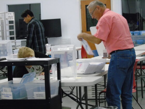 processing mail in ballots volusia
