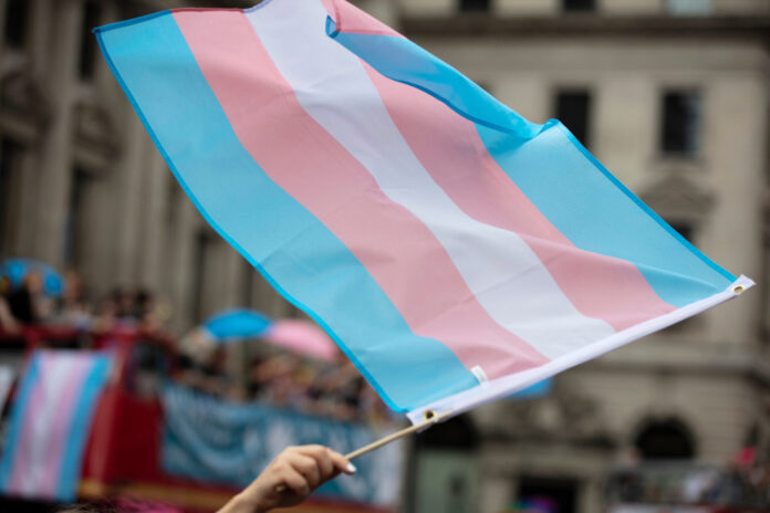 transgender flag waved