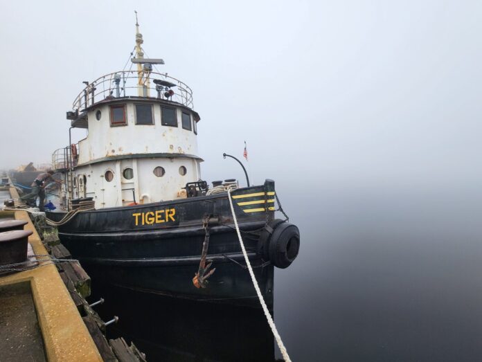tiger tugboat